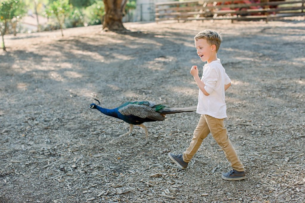 Leo Carrilo Ranch Family Photography Session
