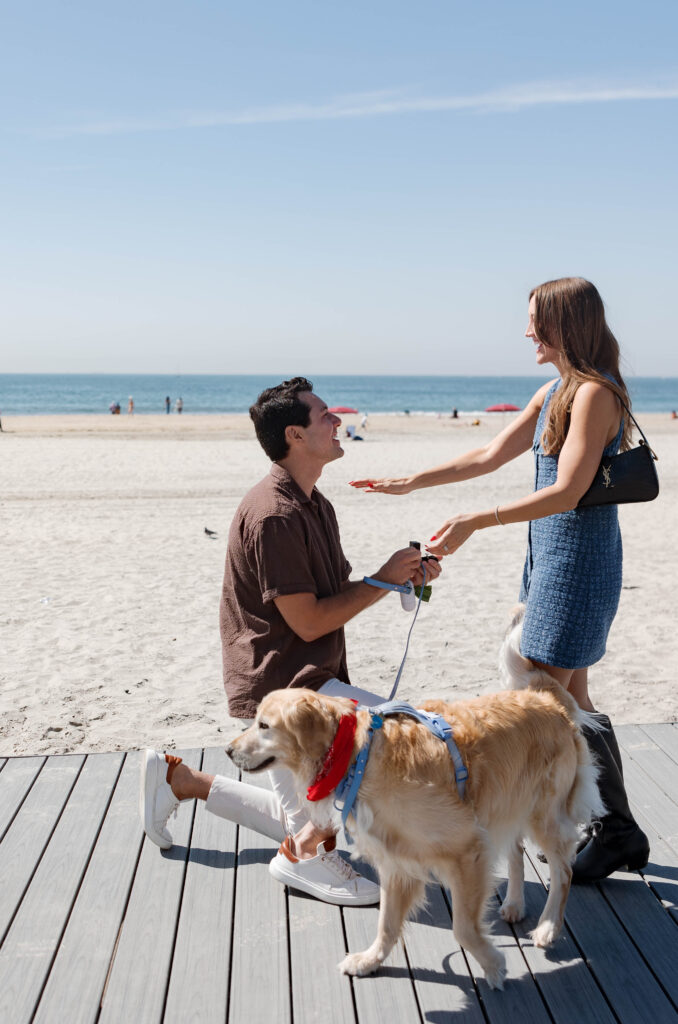 Man proposing to woman at Hotel Del Coronado with dog