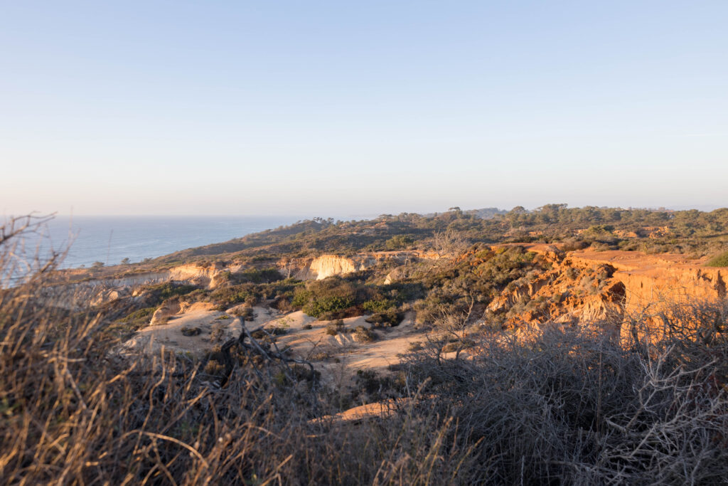 Torrey Pines landscape in San Diego
